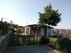  la casa di lele  Костарайнера
